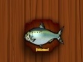                                                                       Amateur Action Super Fishing ﻞﯿﮭﮐ
