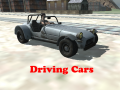                                                                       Driving Cars ﻞﯿﮭﮐ