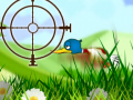                                                                       Quack Hunt ﻞﯿﮭﮐ