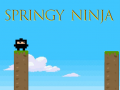                                                                       Springy Ninja ﻞﯿﮭﮐ