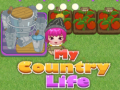                                                                      My County Life ﻞﯿﮭﮐ