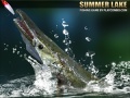                                                                       Summer Lake ﻞﯿﮭﮐ