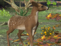                                                                       Spot The differences Spring in the Woods ﻞﯿﮭﮐ
