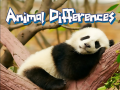                                                                       Animal Differences  ﻞﯿﮭﮐ