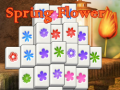                                                                       Spring Flower ﻞﯿﮭﮐ