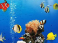                                                                       Sea Underwater Difference ﻞﯿﮭﮐ