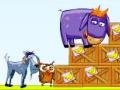                                                                       Donkey Sean ﻞﯿﮭﮐ