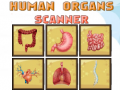                                                                       Human Organs Scanner ﻞﯿﮭﮐ