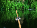                                                                       Green Lake  ﻞﯿﮭﮐ