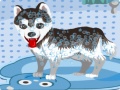                                                                      My Cute Dog Bathing ﻞﯿﮭﮐ