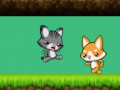                                                                       Cat vs Dog ﻞﯿﮭﮐ