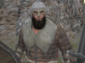                                                                       Vikings Aggression ﻞﯿﮭﮐ