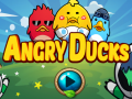                                                                       Angry Ducks ﻞﯿﮭﮐ