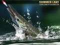                                                                       Summer Lake 1.5 ﻞﯿﮭﮐ