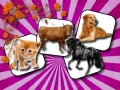                                                                       Domestic Animal Memory Challenge ﻞﯿﮭﮐ