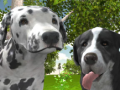                                                                       Dog Simulator 3d ﻞﯿﮭﮐ