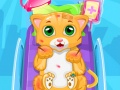                                                                       Little Cat Doctor ﻞﯿﮭﮐ