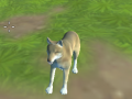                                                                       Wolf Simulator ﻞﯿﮭﮐ