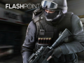                                                                       Flashpoint ﻞﯿﮭﮐ