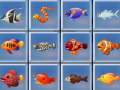                                                                       Find The Fish ﻞﯿﮭﮐ