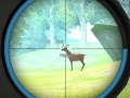                                                                       Hunter Training ﻞﯿﮭﮐ