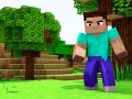                                                                       Mini Craft ﻞﯿﮭﮐ