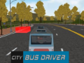                                                                       City Bus Driver   ﻞﯿﮭﮐ