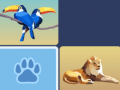                                                                       Wild Memory Match ﻞﯿﮭﮐ