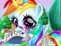                                                                       Rainbow Pony Caring ﻞﯿﮭﮐ