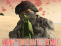                                                                       Sunny Tropic Battle Royale ﻞﯿﮭﮐ