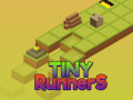                                                                       Tiny RunnerS ﻞﯿﮭﮐ