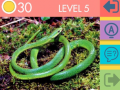                                                                       15 Picture Quiz ﻞﯿﮭﮐ