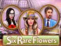                                                                      Six Rare Flowers ﻞﯿﮭﮐ