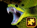                                                                       Snake Puzzle Challenge ﻞﯿﮭﮐ