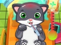                                                                       Cat Doctor ﻞﯿﮭﮐ