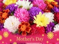                                                                       2019 Mother's Day Puzzle ﻞﯿﮭﮐ