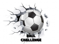                                                                       Ball Challenge ﻞﯿﮭﮐ