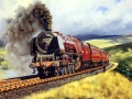                                                                       Train Journeys Puzzle ﻞﯿﮭﮐ