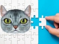                                                                       Abyssinian Puzzle Challenge ﻞﯿﮭﮐ