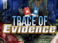                                                                       Trace of Evidence ﻞﯿﮭﮐ