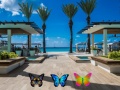                                                                       Find 100 butterflies ﻞﯿﮭﮐ