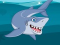                                                                       Shark Jigsaw ﻞﯿﮭﮐ