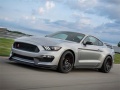                                                                       Mustang Shelby Puzzle ﻞﯿﮭﮐ
