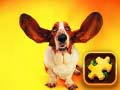                                                                       Funny Dogs Puzzle ﻞﯿﮭﮐ