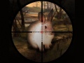                                                                       Classical Rabbit Sniper Hunting 2019 ﻞﯿﮭﮐ