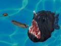                                                                       Fish 3d ﻞﯿﮭﮐ