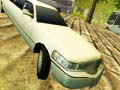                                                                       Limousine Driver ﻞﯿﮭﮐ