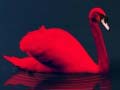                                                                       Love Birds Puzzle ﻞﯿﮭﮐ
