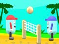                                                                       Beach Volleyball ﻞﯿﮭﮐ