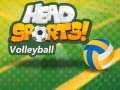                                                                       Head Sports Volleyball ﻞﯿﮭﮐ